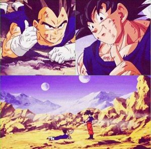 Goku vs Vegeta First Fight